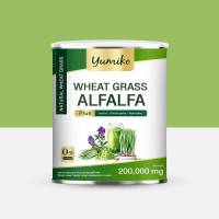 วีทกราส อัลฟาฟ่า คลอโรฟิลล์ ยูมิโกะ แบบใหม่ 200 กรัม Wheatgrass Alfalfa yumiko 200 g