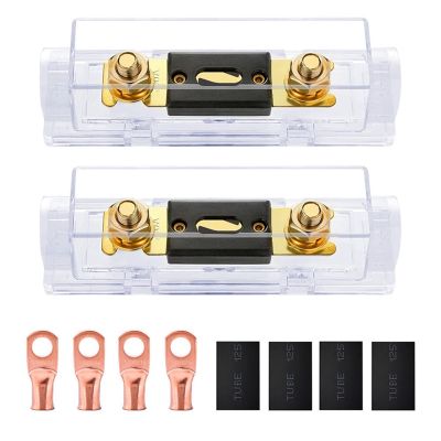 2Pcs Bolt-on Fuse Car Fuse Holders Fusible Link with Fuse 100A Fuses AMP for RV Car Solar