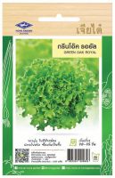 กรีนโอ๊ค รอยัล Green Oak Royal ผักสลัด เมล็ดพันธุ์เจียไต๋ โฮมการ์เด้น