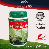 เมล็ดพันธุ์ คะน้ามหาราช55 500 g