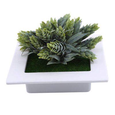 3D แฮนด์เมดประดิษฐ์พืชฉ่ำไม้กรอบรูปแขวนผนังเลียนแบบดอกไม้ประดิษฐ์ตกแต่งบ้านห้องนั่งเล่น