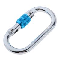 wildhorse 25KN Iron Screw Locking Carabiner O-Ring Hook for Rock Climbing Caving Swing