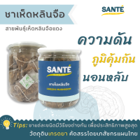 SANTÉ ซานเต้ ชาเห็ดหลินจือ (Lingzhi mushroom) สายพันธุ์หลินจือแดง