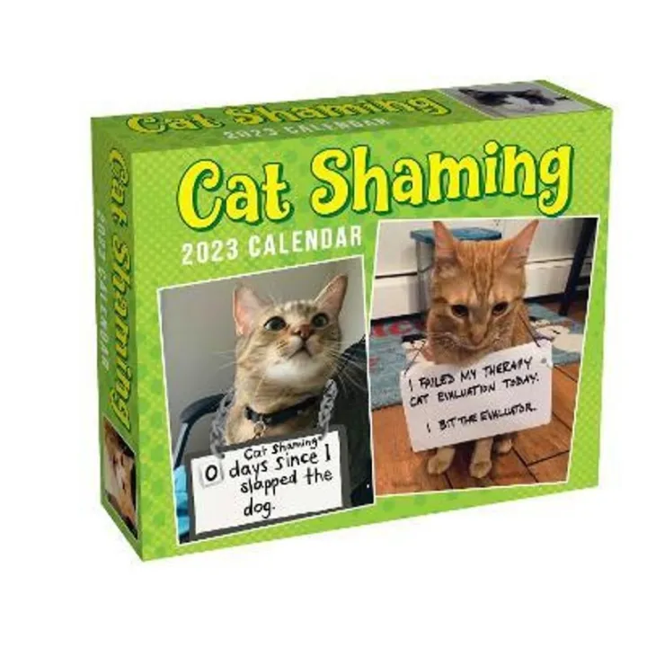 English original 2023 calendar cat desk Cat Shaming DaytoDay Calendar