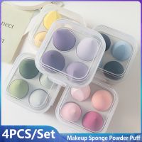 4pcs Makeup Sponge Powder Puff Dry and Wet Combined Beauty Cosmetic Ball Foundation Powder Puff Bevel Cut Make Up Sponge Tools