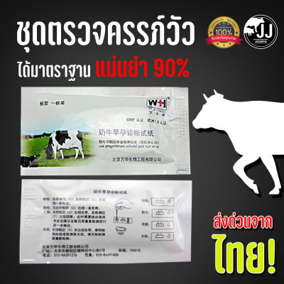 ชุดตรวจครรภ์วัว แบบมาตราฐาน ส่งตรงจากไทย