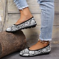 2021 autumn new cross-border foreign trade single shoes Doudou snake round toe slip on large size flat women