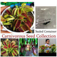 Carnivorous Plant Seeds Collection กับดักแมลงวันวีนัสแมลงกินเนื้อกินเมล็ดหม้อข้าวหม้อแกงลิง