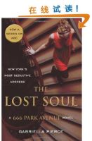 the lost soul a 666 park avenue novel 一