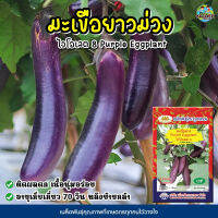 เมล็ดมะเขือยาวม่วง Purple Eggplant ไวโอเลต8  เมล็ดมะเขือยาว เมล็ดมะเขือยาวสีม่วง เมล็ดผักสวนครัว เมล็ดพันธุ์ผัก ตราภูเขาทอง