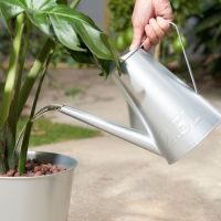 watering can บัวรดน้ำ บัวรดน้ำต้นไม้ บัวรดน้ำวินเทจ บัวรดน้ำ 2.5 ลิตร บัวรดน้ำมินิ ทำจากเหล็กกัลวาไนซ์ จึงไม่เป็นสนิม