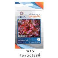 &amp;lt;รับประกันความงอก&amp;gt; เมล็ดพันธุ์ ผักสลัด สลัดใบแดง โรสรัสซี่ ผักคุณภาพ ตราจุยเจีย