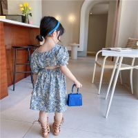 ZZOOI Kids Clothes Dress for Girls Girl Summer Clothes Outfit Floral Dress  for Girls Clothing Princess Birthday Party Dresses Dress