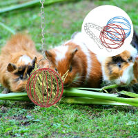 Qifull 2 ชิ้นในครัวเรือน Rabbit Hay Feeder Hay Storage Balls สำหรับกระต่ายแขวนลูกบอล Hay สำหรับสัตว์เลี้ยงขนาดเล็ก