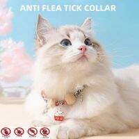 ปรับ Flea Tick รักษาแมวปลอกคอกับ Balsam ไม้ลูกปัดระฆังสร้อยคอต่อต้านปรสิตลูกสุนัขอุปกรณ์สัตว์เลี้ยง