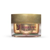 SPOT &amp; PIGMENT LIGHTENIG NIGHT CREAM