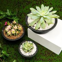 2Pcs Breathable Succulent Pot Shatterproof Plastic Bonsai Pot Hollowed Design Flower Pot for Garden