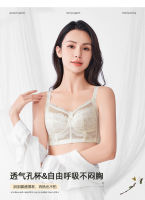 Factory Outlet Lace Pure Desire Underwear Big Breasts Showing A Pair Of Milk, No Steel Circle Bra, Breathable Hole Cup