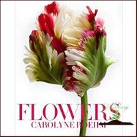 This item will be your best friend. &amp;gt;&amp;gt;&amp;gt; Flowers [Hardcover]หนังสือภาษาอังกฤษมือ1(New) ส่งจากไทย