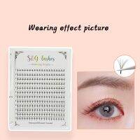 【CW】 1 8-16mm 0.07mm Volume C/D Curl To Make Effect False And Faux Lashes