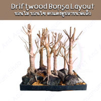 Driftwood bonsa Layout ขอนไม้บอนไซ สำหรับตั้งตู้ไม้น้ำ ตกแต่งตู้ ขอนไม้ Bonsai ตู้ไม้น้ำ ตู้ปลา พรรณไม้น้ำ บอนไซ