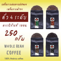 เมล็ดกาแฟคั่ว 4 ระดับ เมล็ดกาแฟดอยแม่สลอง ขนาด 250g อาราบิก้าแท้ Light roast / Medium roast / Medium-dark roast / Dark roast  Whole bean arabica coffee โรงคั่วกาแฟดอยแม่สลอง