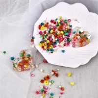 140/280PCS Real Dried Flowers Little Star Flower For DIY Art Craft Epoxy Resin Candle Mold Making Jewellery Filling