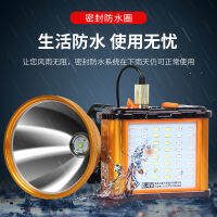 ซานโต 12 ไฟฉายแบบชาร์จไฟได้ LED กลางแจ้งเหมืองโคมไฟหัวไฟฉาย