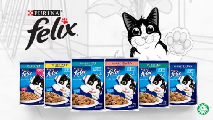 Purina Felix Pouch Wet Food 70g | Lazada