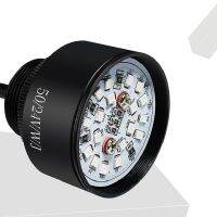 Mini Ball Shape Led 3สีใน1ไฟเตือน50มม. 70มม. นาฬิกาปลุกข้อควรระวังโคมไฟ12V 24V พร้อม Buzzer