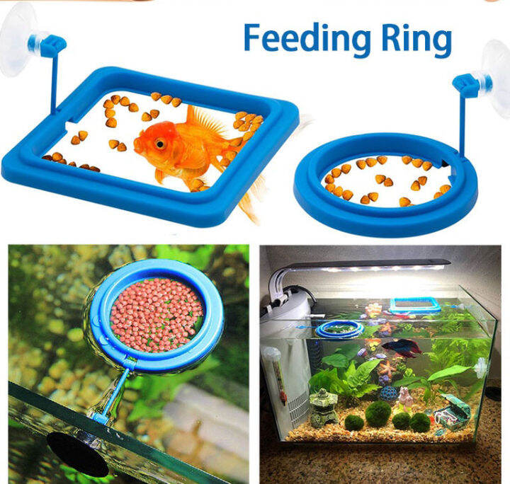 Aquarium Fish Tank FixedPoint Suspension Feeding Ring, Floating Feeder