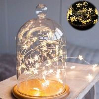 2M 20LED Star Fairy Lights Battery Operated Twinkle String Light Copper Wire String Lights Xmas Wedding Party Decor