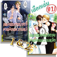 การ์ตูนวาย A เพลย์บอยบ้าVSนายน้อย