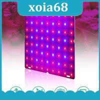 xoia68 Shop 5 types LED Plant Grow Light Phyto Lamp Kit  Indoor Growing Tent Full Spectrum Hydroponics For Veg Flower