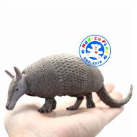 Munich Play - โมเดลสัตว์ Armadillo ตัวลิ่น ตัวนิ่ม เก้าแถบ ขนาด 15.00 CM (จากหาดใหญ่)