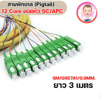 สายไฟเบอร์ออฟติกพิกเทล ( Fiber Optic Pigtail Sc/Apc) ชนิดหัว SC/APC จำนวน 12 เส้น ยาว 3เมตร