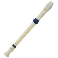 ；。‘【 2X Music Instrument 6 Holes Soprano Flute Recorder White Blue