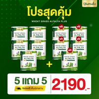 5 แถม 5 (10 กระปุก) วีทกราส อัลฟัลฟ่า พลัส ยูมิโกะ 200 กรัม Wheatgrass Alfalfa Plus by Yumiko 200 g.