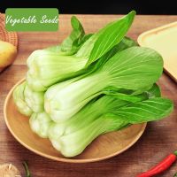 บอนสี เมล็ดพันธุ์ ผักเบบี้ฮ้องเต้ 200 เมล็ด Pak Choi Seed บอนสีหายาก เมล็ดพันธุ์ผัก พันธุ์ไม้ผล เมล็ดดอกไม้ บอนสีสวยๆ ต้นไม้มงคล พันธุ์ดอกไม้ ต้นไม้ฟอกอากาศ ไม้ประดับ ต้นไม้ตกแต่ง ไม้ดอก ดอกไม้จริง บอนไซ ต้นไม้ ตกแต่งสวน ของแต่งสวน หญ้าเทียม plants