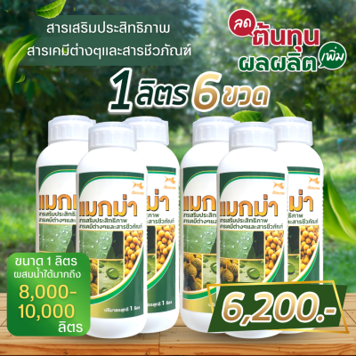 สารจับใบแมกม่า (1ลิตร6ขวด)  Silicone wetting 10% จับใบนำพาสารอาหารจากปุ๋ย ฮอร์โมนพืช สารป้องกันและกำจัดศัครูพืชให้แทรกซึมผ่านใบได้ดีขึ้น10เท่า