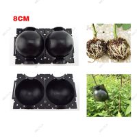 8cm Fruit Tree Root Box Plant Rooting Ball Case Planter Cases Grafting Rooting Growing Breeding Garden Tools Supplies WB15TH