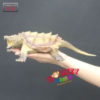 Monkey Toys - โมเดลสัตว์ Alligator Tortoise เต่า อัลลิเกเตอร์ น้ำตาล ขนาด 28.00 CM (จากหาดใหญ่)