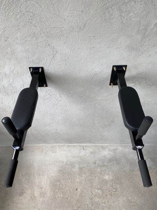 Dips Bar Station Wall Mounted Heavy Duty for Home Gym Lazada PH