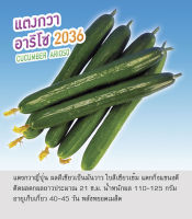 เมล็ดพันธุ์ แตงกวาญี่ปุ่น แตงกวา สายพันธุ์ อาริโช - Cucumber (Hybrid) Arioso ตราดอกแตง เพื่อนเกษตรกร