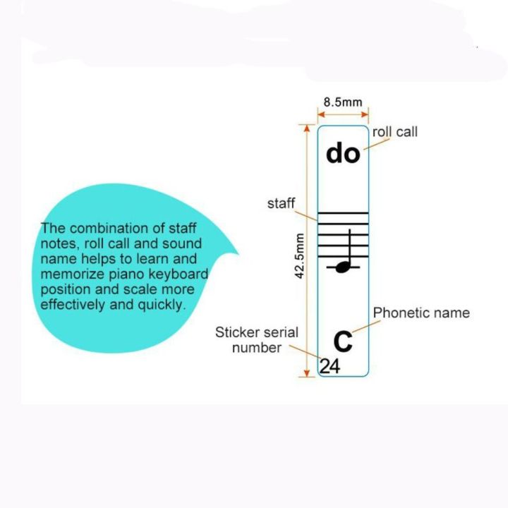 sameple-พีวีซีโปร่งใส-ป้ายโน้ตคีย์บอร์ดเปียโน-กุญแจ54-61-88-บันไดเปียโนซ่อน-สติกเกอร์พนักงานออร์แกนเปียโนอิเล็กทรอนิกส์-ของใหม่-ใช้ซ้ำได้-สติกเกอร์โน้ตคีย์บอร์ดเปียโน-สำหรับผู้เริ่มต้นหัดเล่น