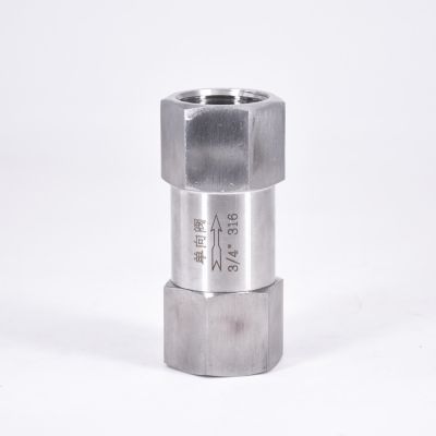 1/8" 1/4" 3/8" 1/2" 3/4" 1" BSP Female One Way Check Valve Non-return Inline 304 316 Stainless Steel Clamps