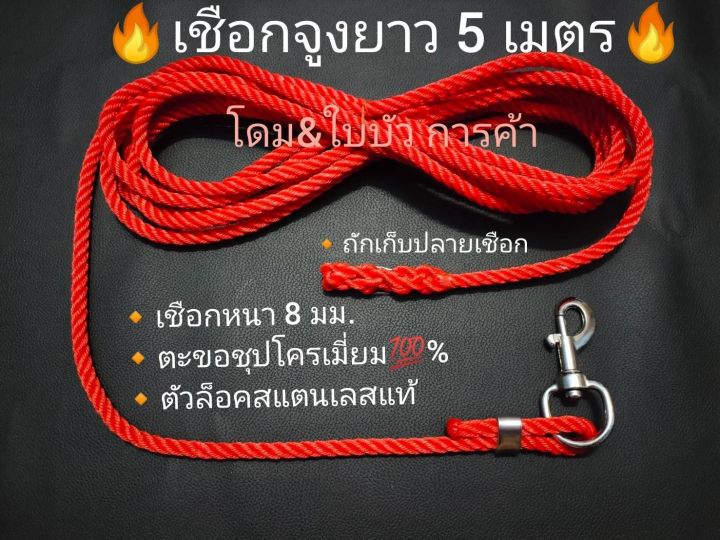 ขลุมวัวฝึกเข้าหนังแท้-สายจูงวัวตะขอเงิน-แพ็คสุดคุ้ม-ขลุมวัวโซ่ชุปโคลมเมี่ยมแท้-เม่าวัว-เค่าวัว-เข้าหนัง