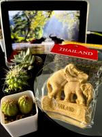 Elephant thailand ช้างไทย ของฝากที่ระลึกไทยๆ ของตกแต่งบ้าน Magnet model opener. Souvenir thailand.