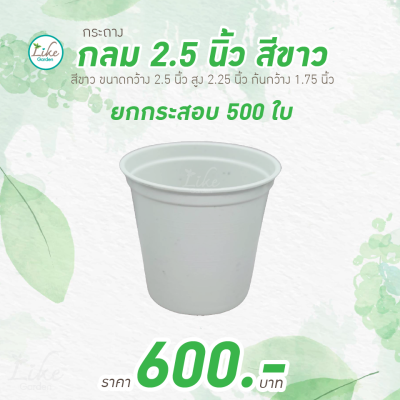 กระถางกลม 2.5 นิ้ว สีขาว ยกกระสอบ 500 ใบ ปลูกต้นไม้ ขายต้นไม้ เพาะเมล์ดพันธ์