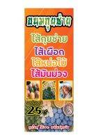 642 ป้ายขนมกุยช่าย ขนาด40x80cm แนวตั้ง1ด้าน (ฟรีเจาะตาไก่4มุมทุกชิ้น) เน้นงานละเอียด  สีสด รับประกันความคมชัด ทนแดด ทนฝน